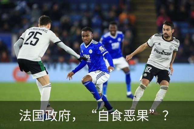 法国政府，“自食恶果”？